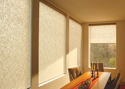 roller shades